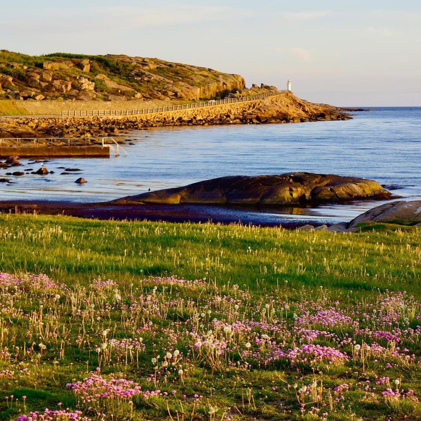 Faestningens Bed and Breakfast Varberg Buitenkant foto